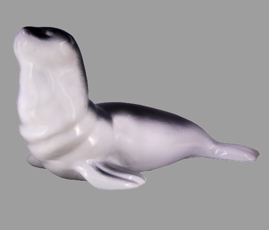 Dolphin